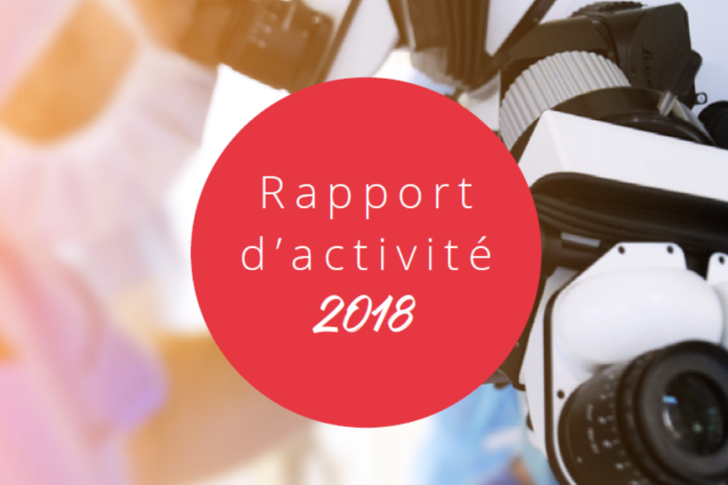 rapport d'activité 2018